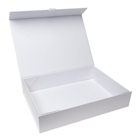 Collapsible Box